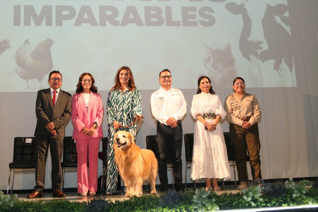 Por el bienestar animal el Gobierno de la Ciudad realizó el foro participativo "Patitas Imparables"