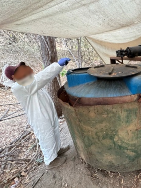 Desmantelan tres laboratorios de drogas sintéticas en Sinaloa; destacan colaboración internacional