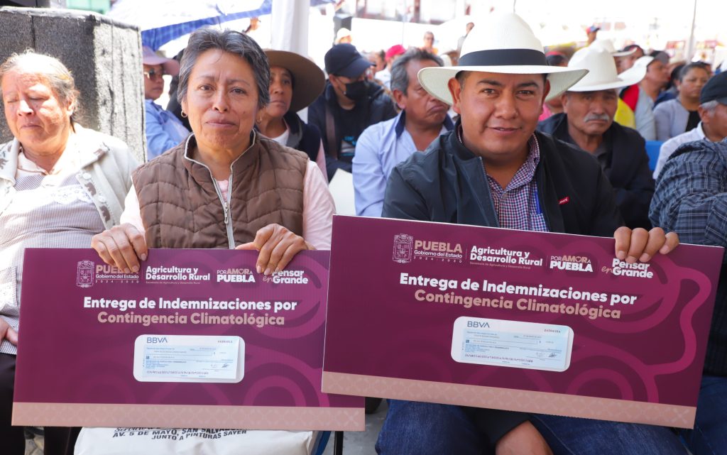 Gobierno de Puebla rescata economía de productores ante heladas atípicas en Chiautzingo.