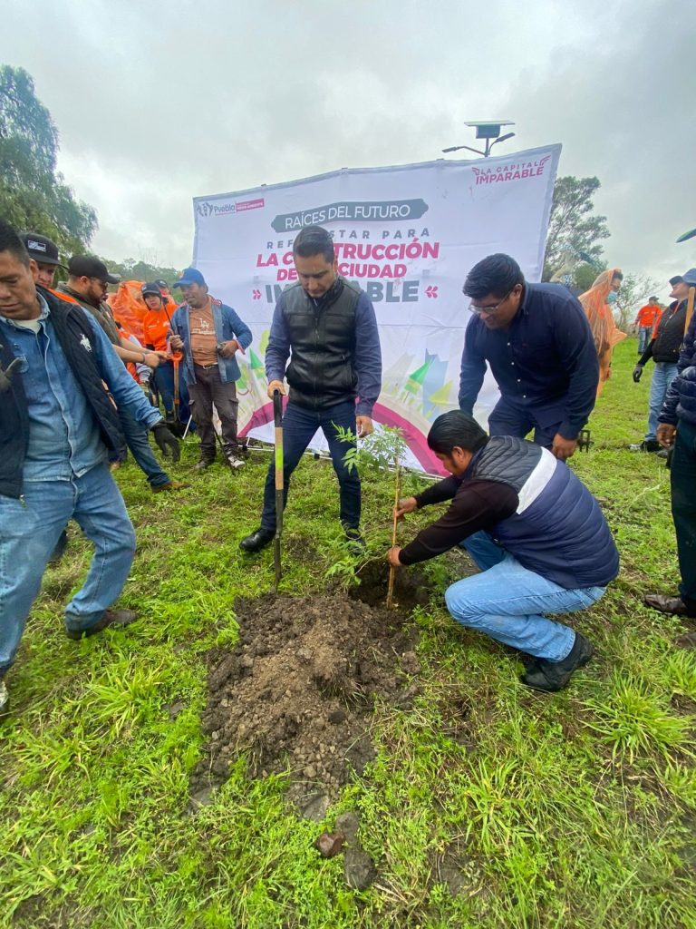 Refuerza Gobierno de la Ciudad acciones ambientales con dos jornadas de plantación de árboles en esta semana