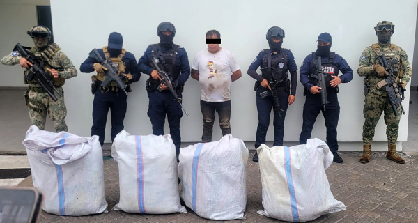 Mediante coordinación interinstitucional, fueron asegurados 65 kilogramos de marihuana