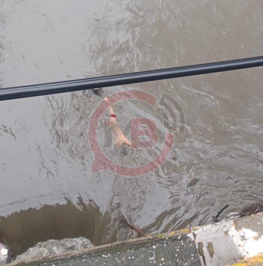 Hallan cuerpo sin vida en el Río Alseseca