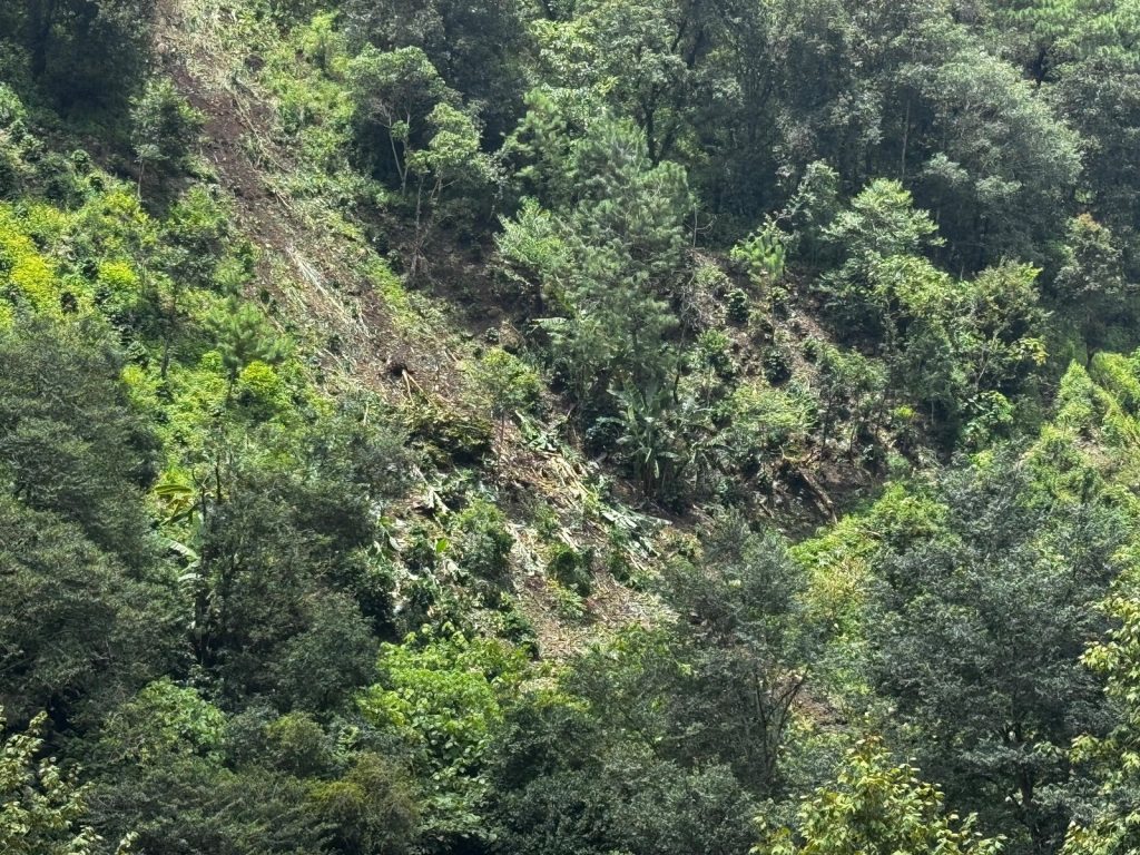 Deslizamiento de tierra en Chiconcuautla deja una persona fallecida