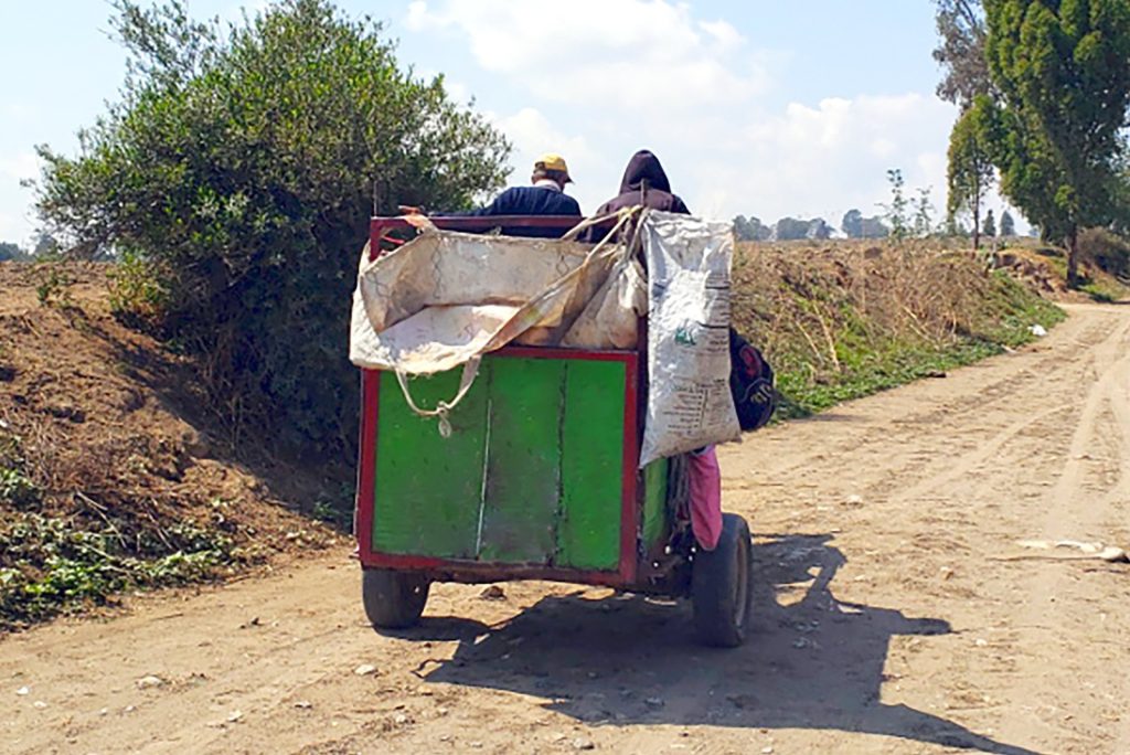 Aprueba cabildo prohibición de uso de seres sintientes para la recolección de basura en Texmelucan