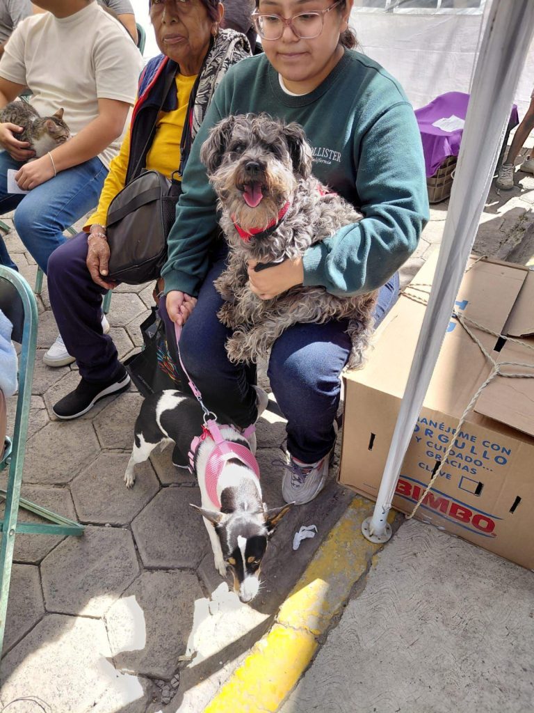 Acerca Gobierno de la Ciudad servicios de bienestar animal a colonias del municipio