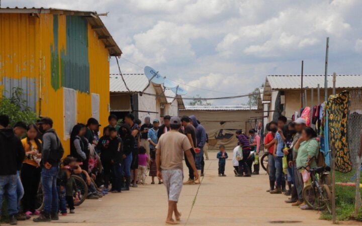 Rescatadas 700 víctimas de explotación laboral en Guanajuato