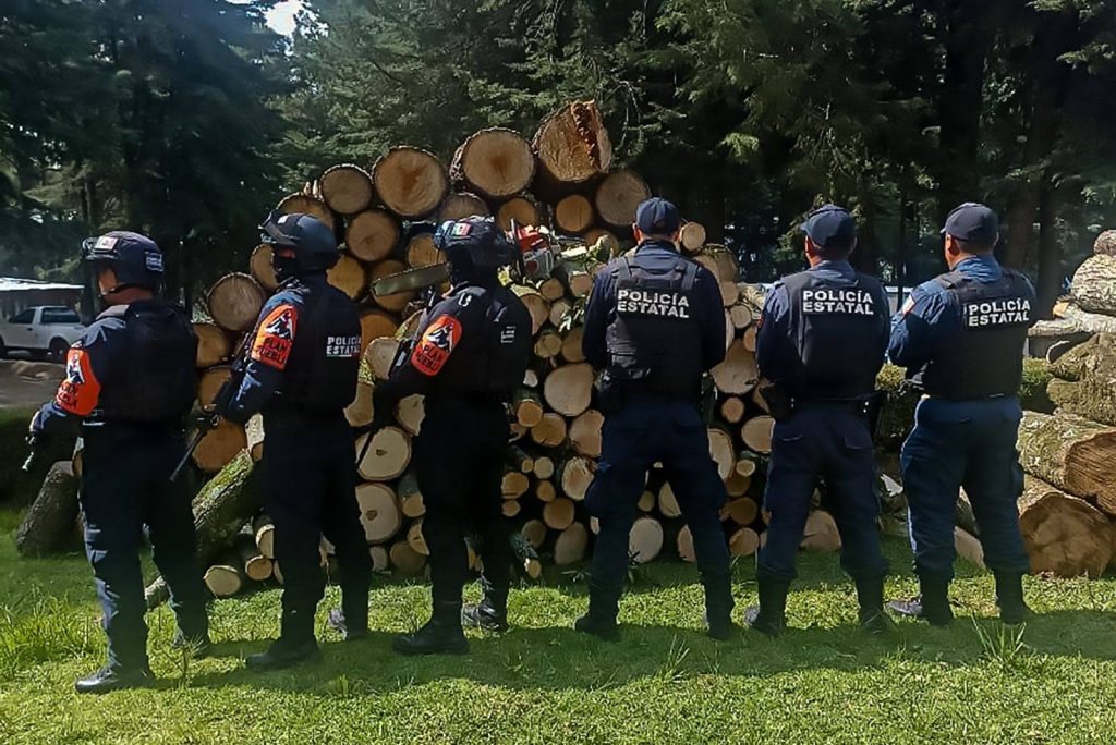 Recuperan Policía Estatal Forestal de Puebla y Tlaxcala tres metros cúbicos de madera