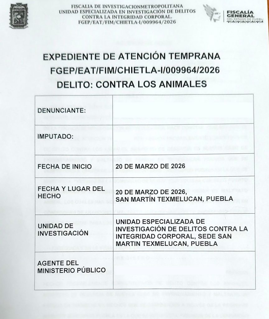 ATENDIÓ BIENESTAR ANIMAL DE TEXMELUCAN REPORTES DE MALTRATO A SERES SINTIENTES