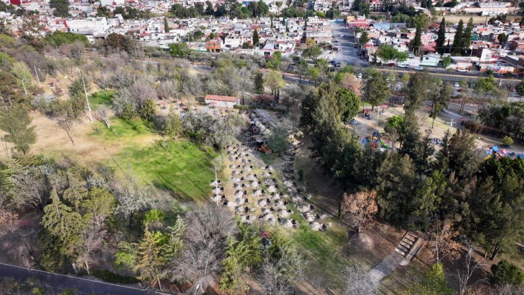 Árboles del bosque urbano generarán agua, oxígeno y albergarán vida