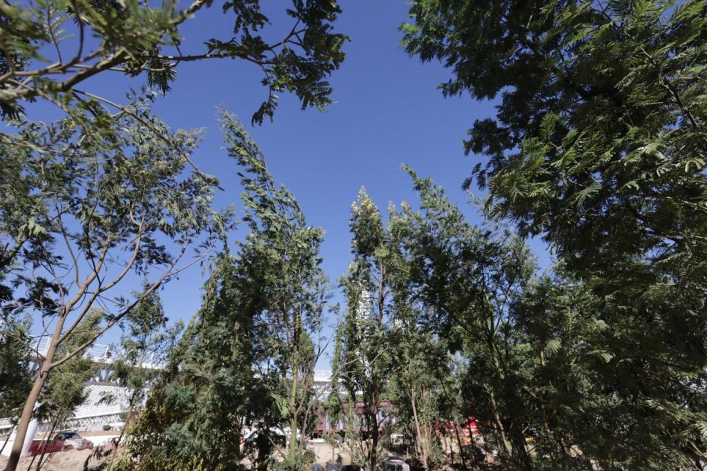 Armenta, ambientalista