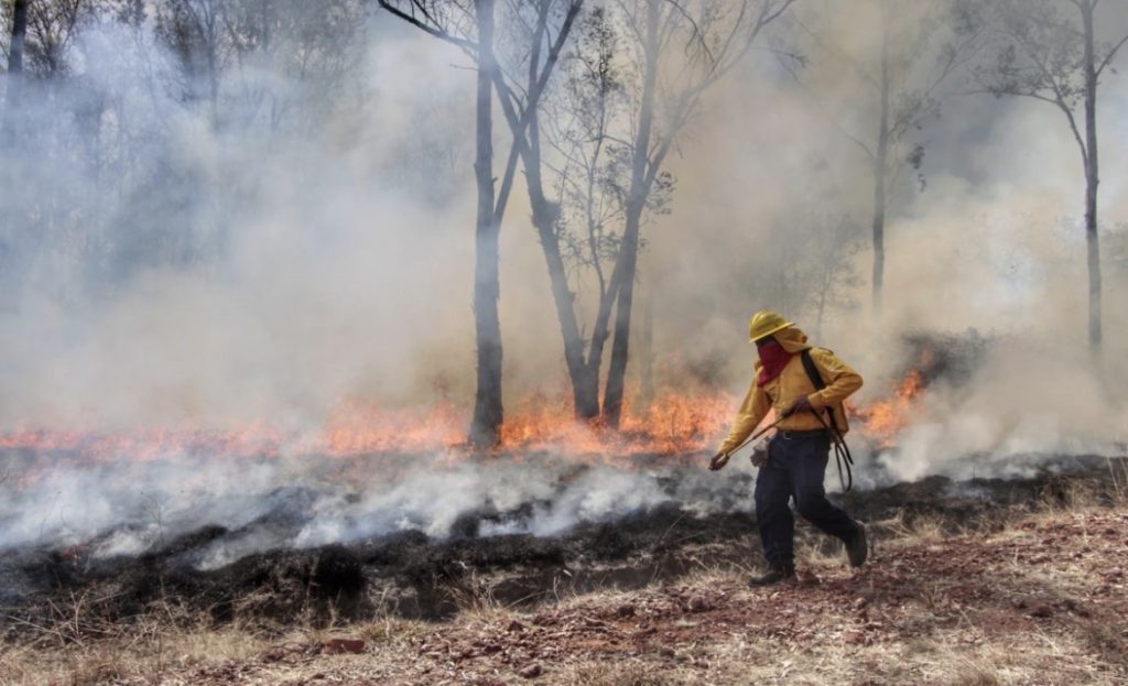 Aumentan incendios forestales en Puebla durante 2026; autoridades llaman a prevenir siniestros
