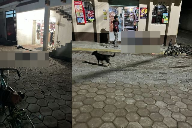 Balacera deja muertos en el municipio de Felipe Ángeles, Puebla