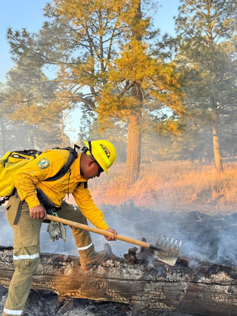 ANTE INCREMENTO DE INCENDIOS EN 2026, GOBIERNO ESTATAL INTENSIFICA ACCIONES DE COMBATE