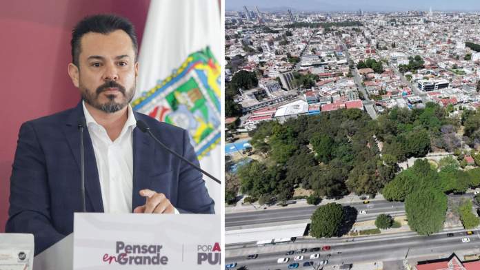 Reducen a 97 los árboles a trasplantar por obras del Cablebús en Puebla