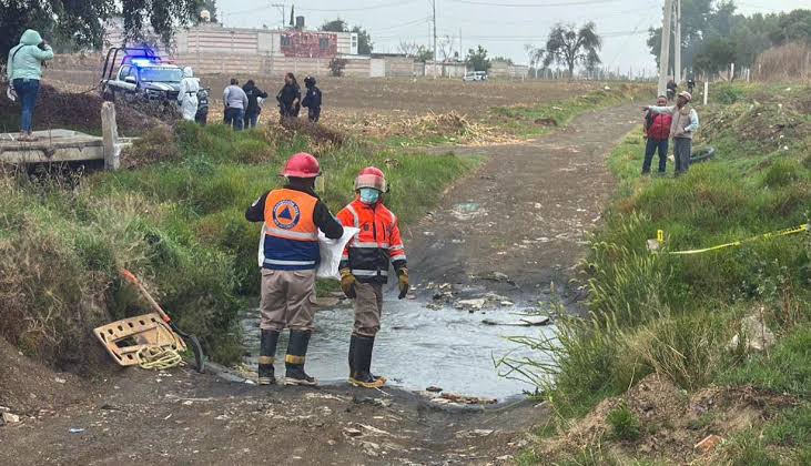 Investigan muerte de siete perros con signos de maltrato en Huejotzingo