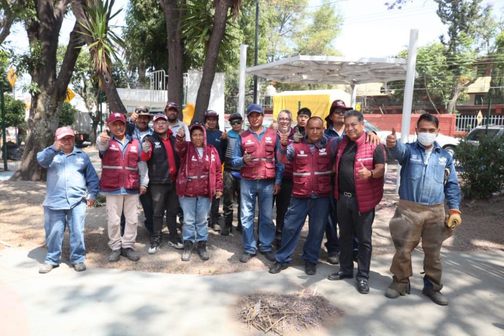 Realiza Gobierno de Pepe Chedraui labores de poda y chapeo en espacios públicos