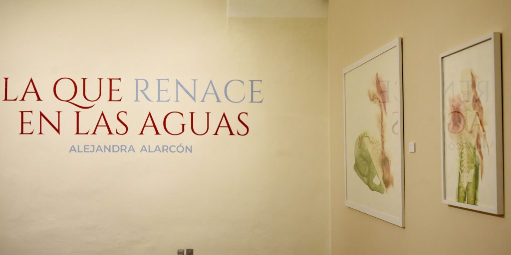 El arte nos permite atravesar la dualidad entre la vida y la muerte: Alejandra Alarcón