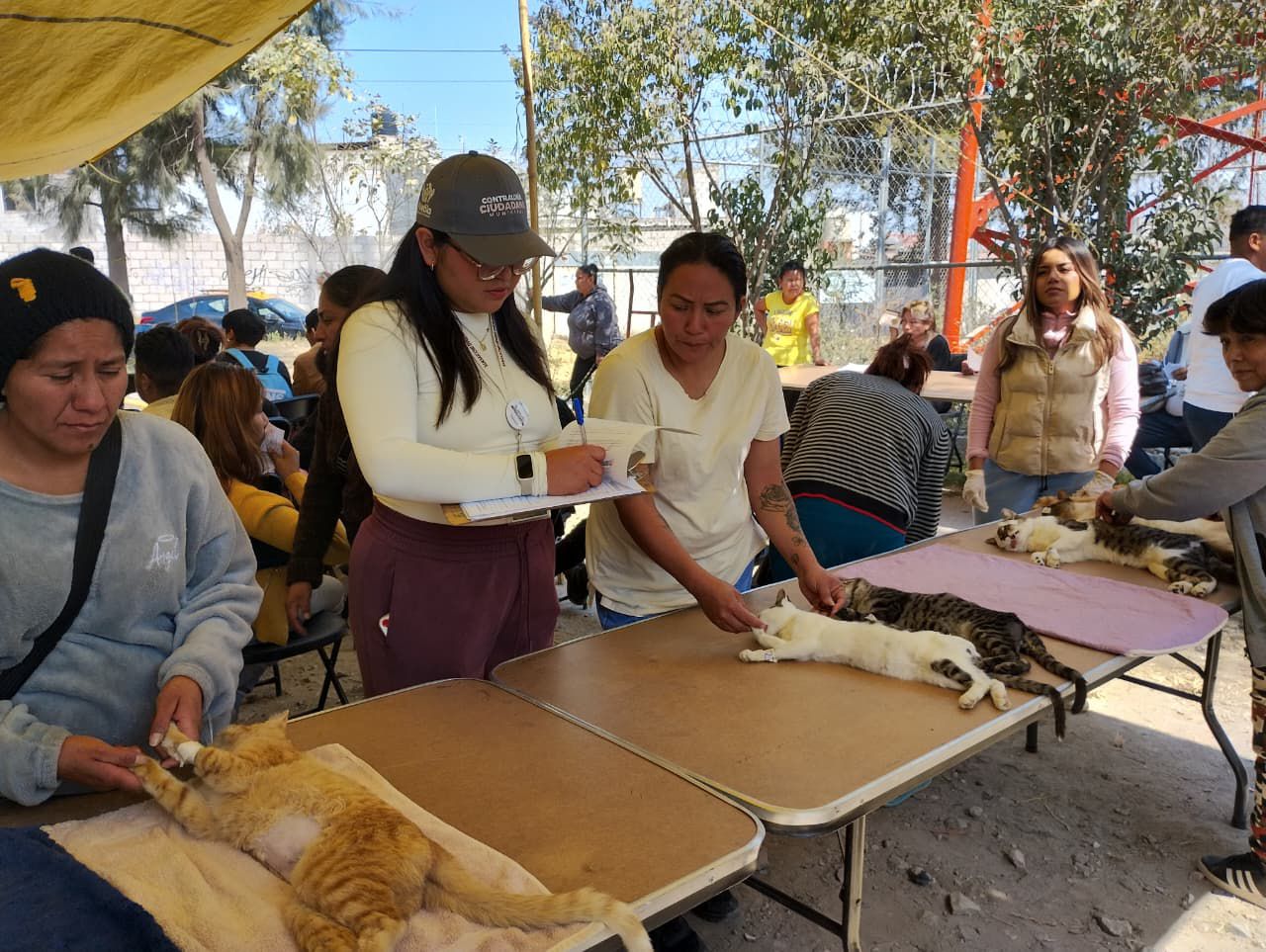 Fortalece Gobierno de Pepe Chedraui la mejora de servicios mediante verificaciones ciudadanas