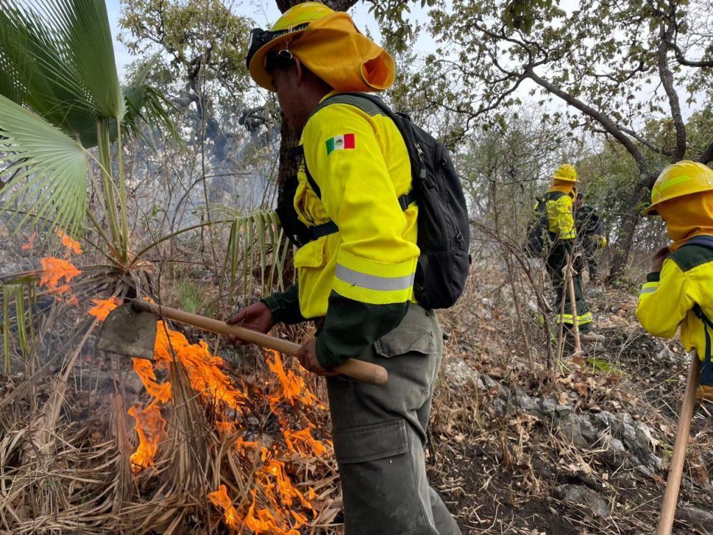 COORDINACIÓN INTERINSTITUCIONAL LOGRA SOFOCAR INCENDIO FORESTAL SIN DAÑOS A POBLACIÓN EN COHETZALA