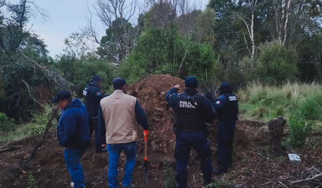 En operativo forestal, la Profepa inhabilita horno ilegal para elaborar carbón vegetal en el Parque Nacional La Malinche