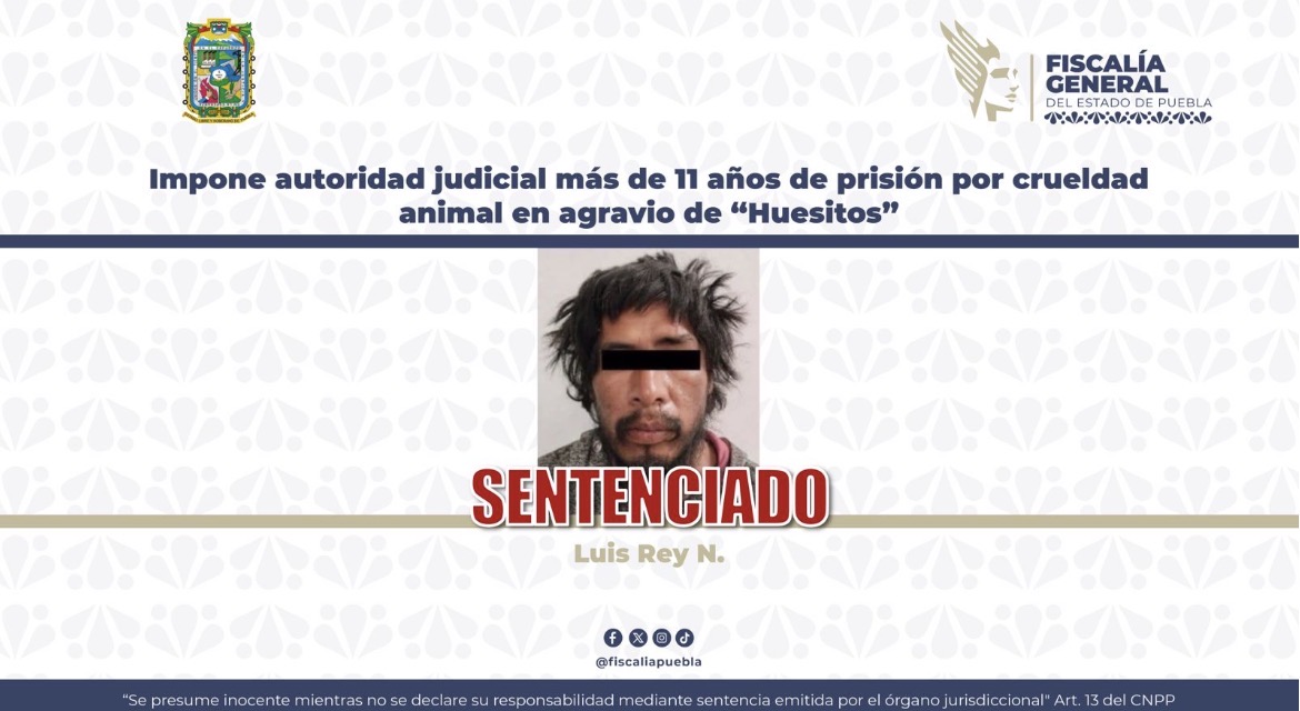 Impone autoridad judicial más de 11 años de prisión por crueldad animal en agravio de “Huesitos”