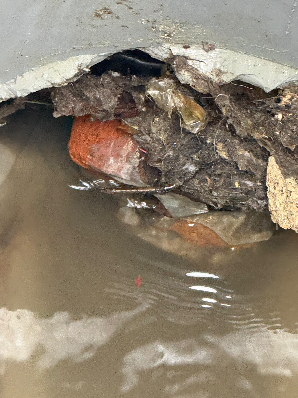 GOBIERNO DE TEXMELUCAN ATIENDE AFECTACIONES POR LLUVIAS EN LA ZONA LA JOYA- EL CERRITO Y REFUERZA ACCIONES PREVENTIVAS