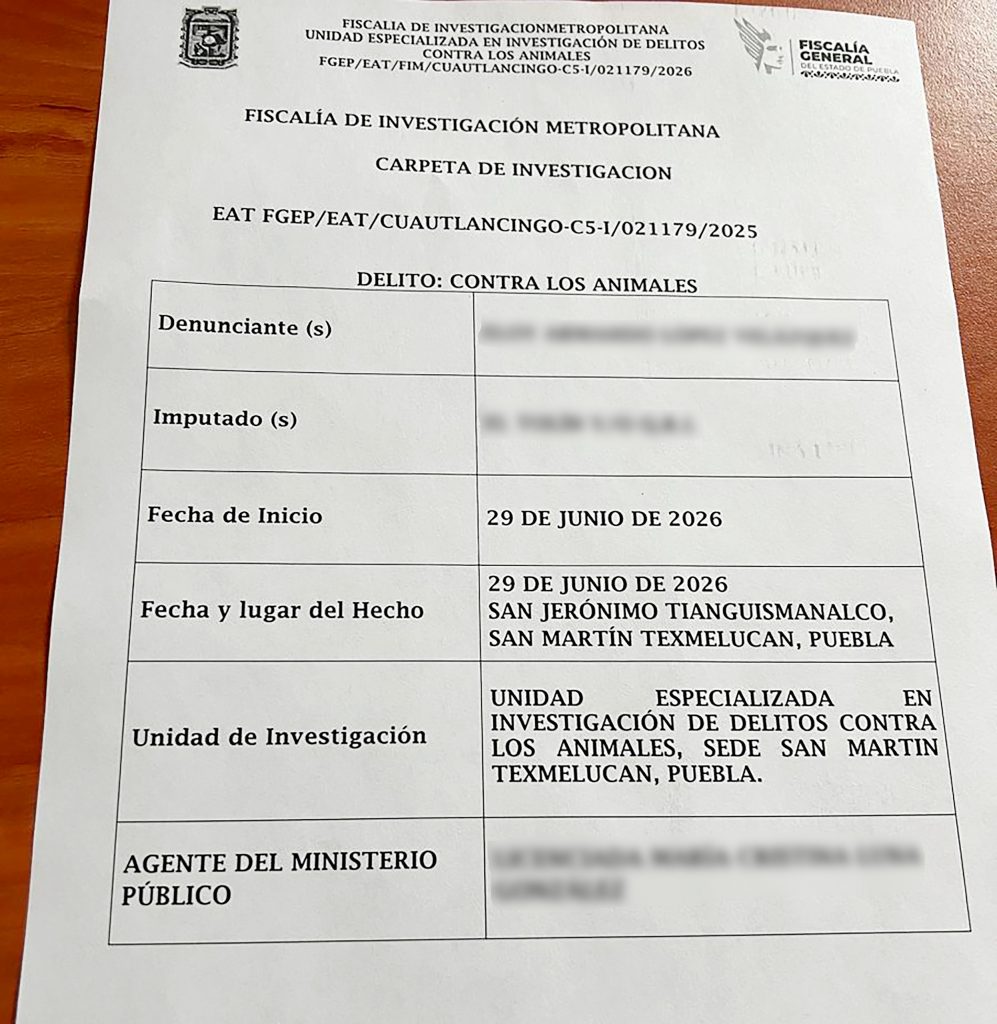 GOBIERNO DE TEXMELUCAN ACTÚA ANTE CASO DE MALTRATO ANIMAL EN TIANGUISMANALCO