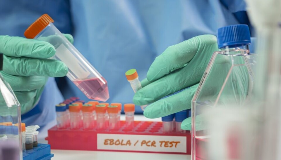 Francia confirma primer caso de ébola en médico que regresó de misión humanitaria en África