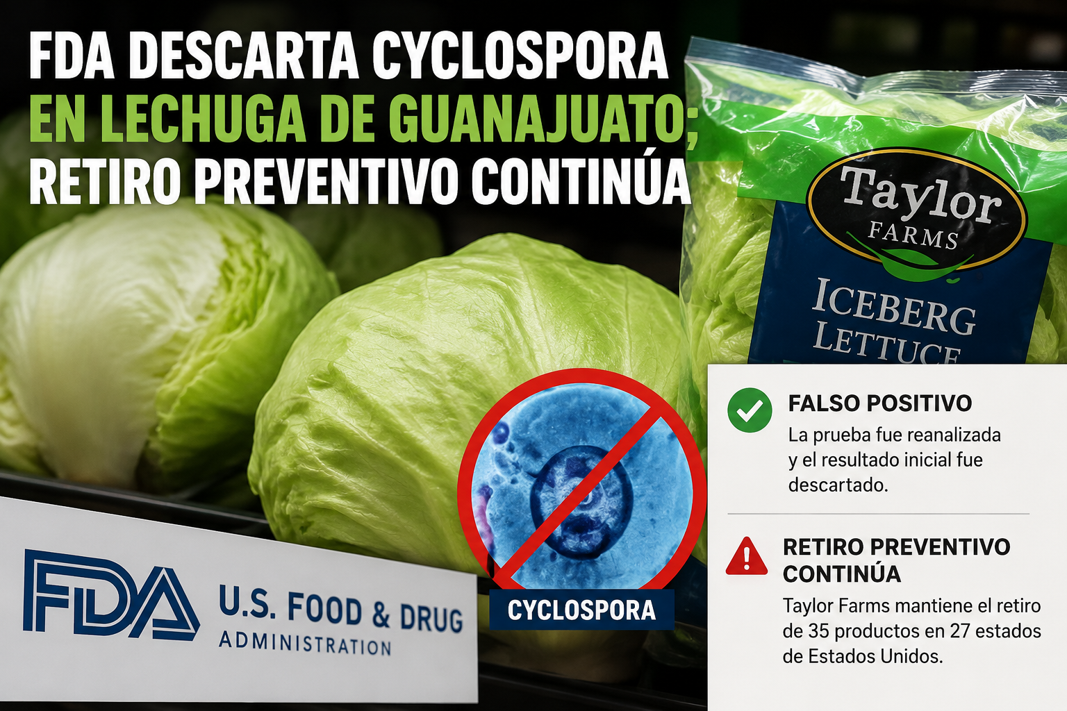 FDA descarta presencia de Cyclospora en lechuga de Guanajuato; mantiene retiro preventivo de productos de Taylor Farms