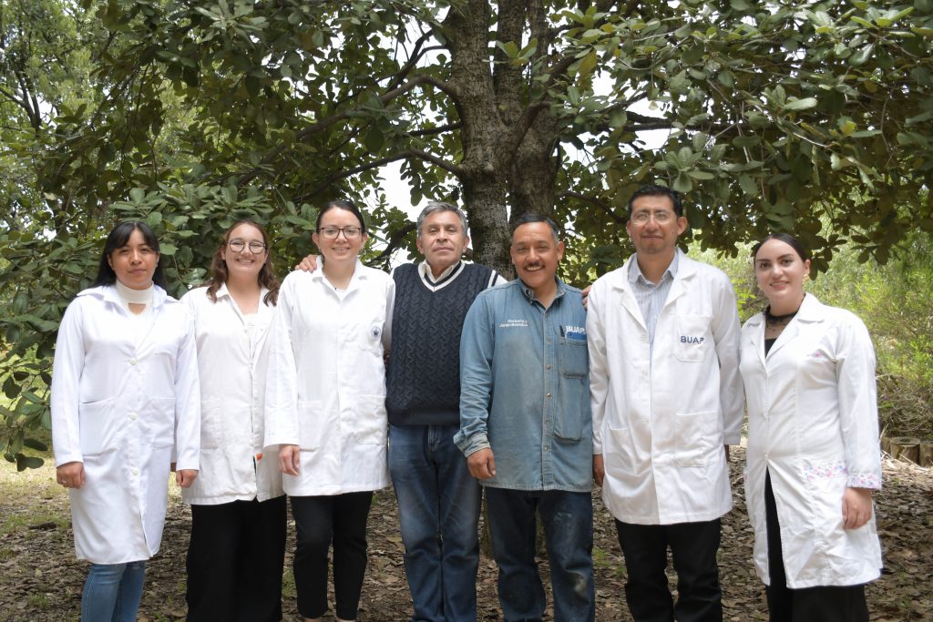 Crean nanomateriales en la BUAP para combatir plagas por gusano barrenador