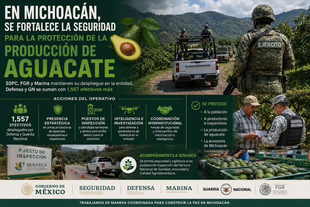 EN MICHOACÁN, SE FORTALECE LA SEGURIDAD PARA LA PROTECCIÓN DE LA PRODUCCIÓN DE AGUACATE