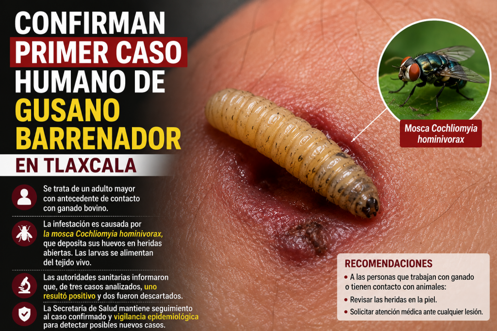 Confirman primer caso humano de gusano barrenador en Tlaxcala