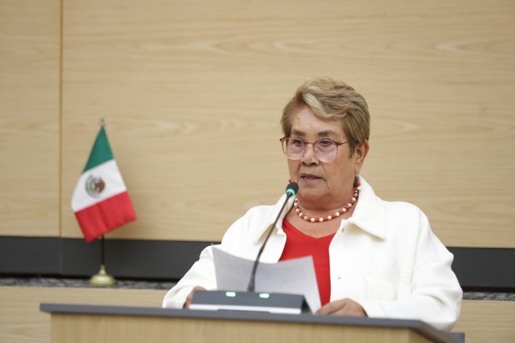 Impulsa diputada Modesta Delgado iniciativa para incorporar el principio de accesibilidad en la Ley de Desarrollo Social