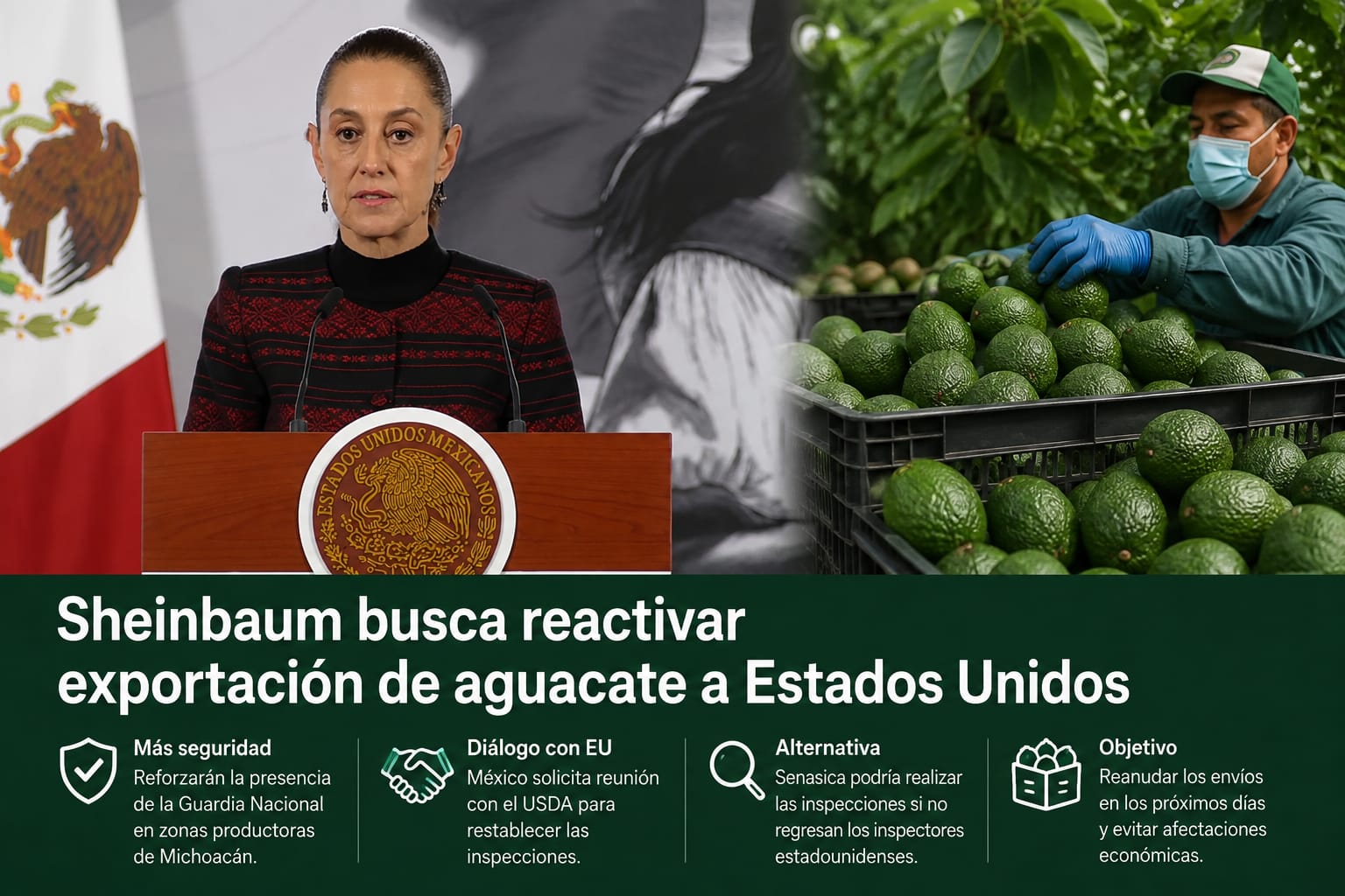 Sheinbaum busca reactivar exportación de aguacate a Estados Unidos