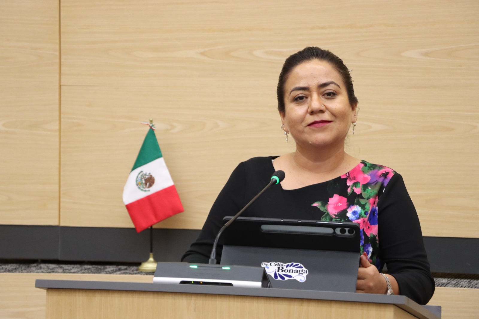 Diputada Celia Bonaga impulsa iniciativa para promover e implementar programas de captación de agua pluvial