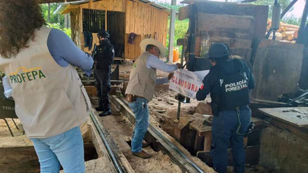 En distintas intervenciones, SSP realizó acciones para la preservación del patrimonio natural