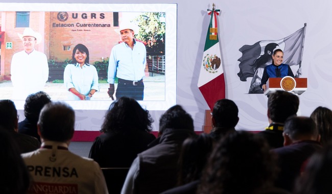 Presidenta Claudia Sheinbaum anuncia reanudación de la exportación de ganado a Estados Unidos desde Sonora
