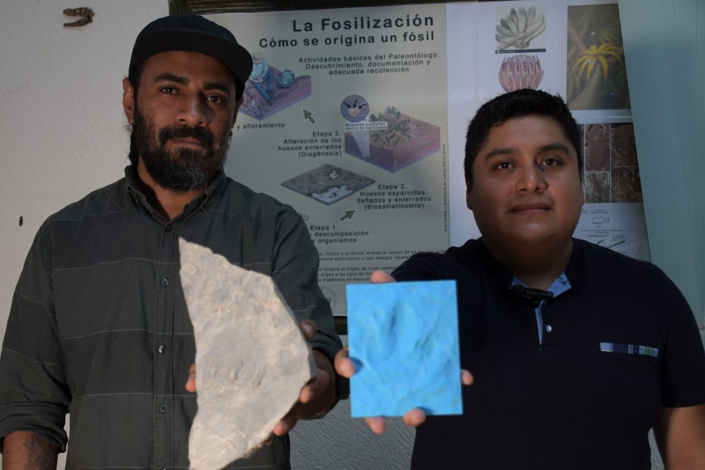 Investigadores BUAP registran nuevas huellas de dinosaurio en Puebla