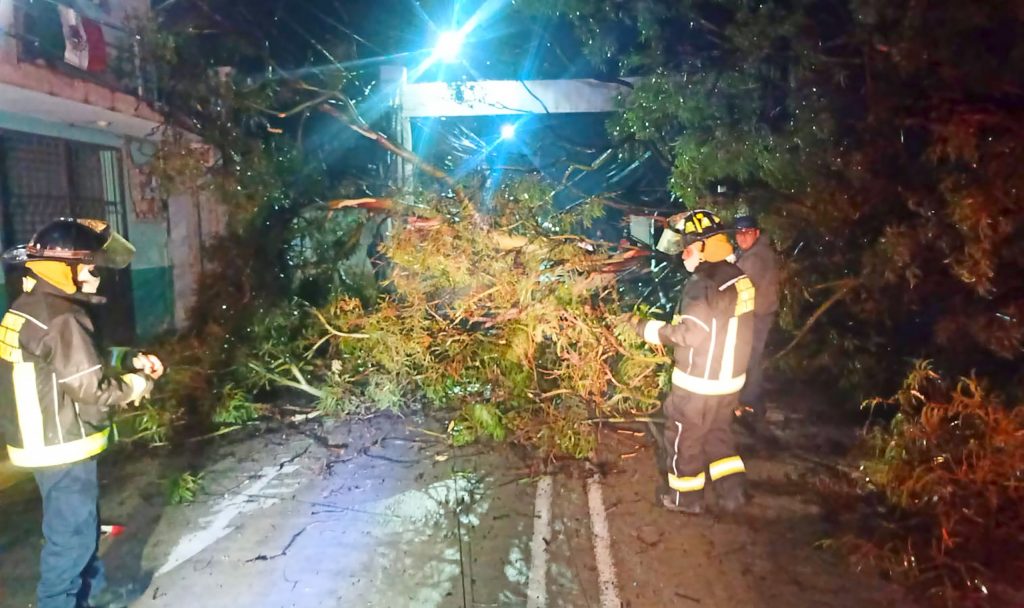 Protección civil de Texmelucan atendió caída de árbol en Tianguismanalco