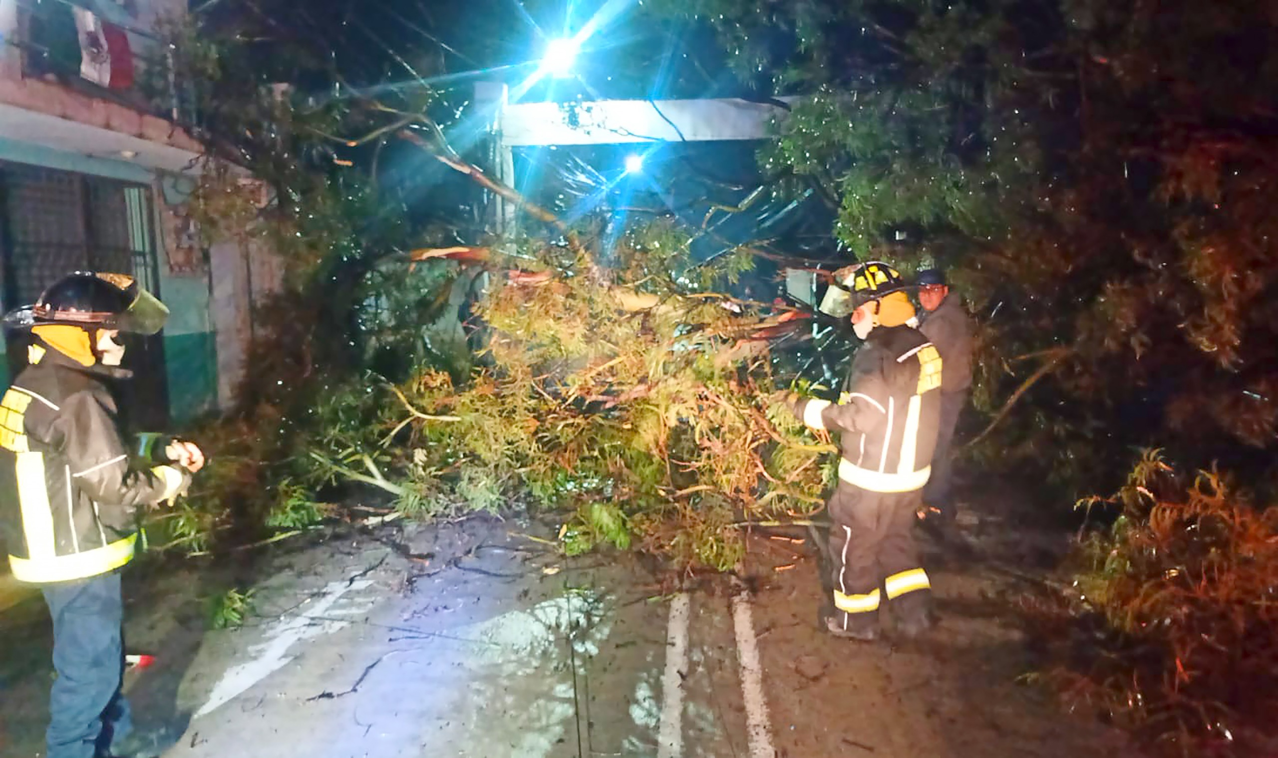 Protección civil de Texmelucan atendió caída de árbol en Tianguismanalco