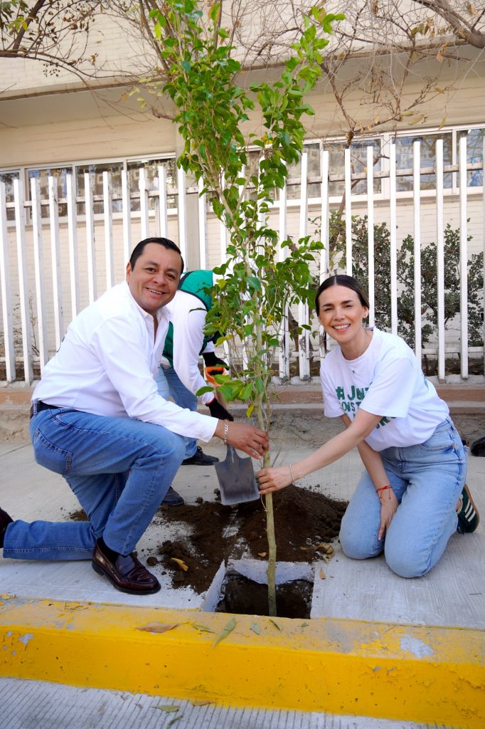Gobierno de Juan Manuel Alonso incrementa 52% la plantación de árboles para recuperar espacios públicos en Texmelucan