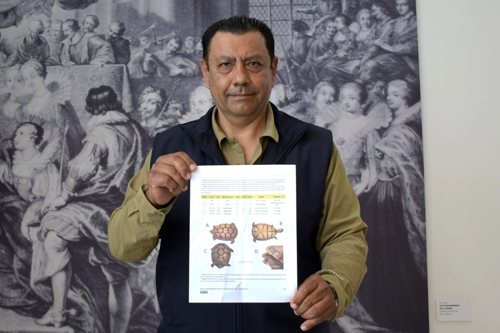 Investigadores BUAP registran nuevos ejemplares de tortuga en el estado de Puebla