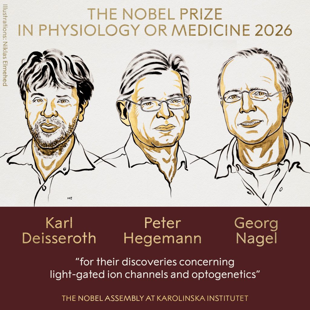 Nobel de Medicina 2026 premia a tres científicos por desarrollar la optogenética