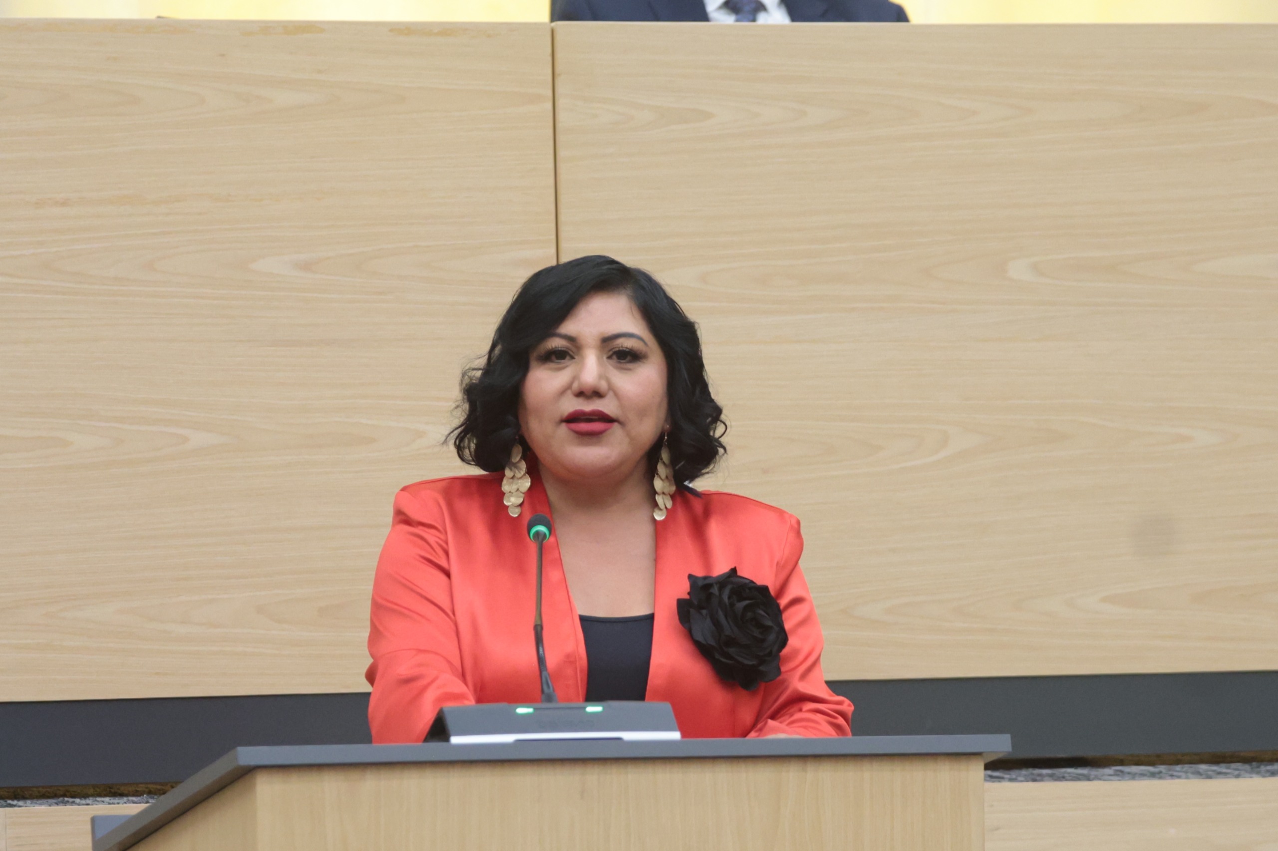 Diputada Modesta Delgado promueve iniciativa para incorporar el principio de interculturalidad en la planeación de políticas públicas